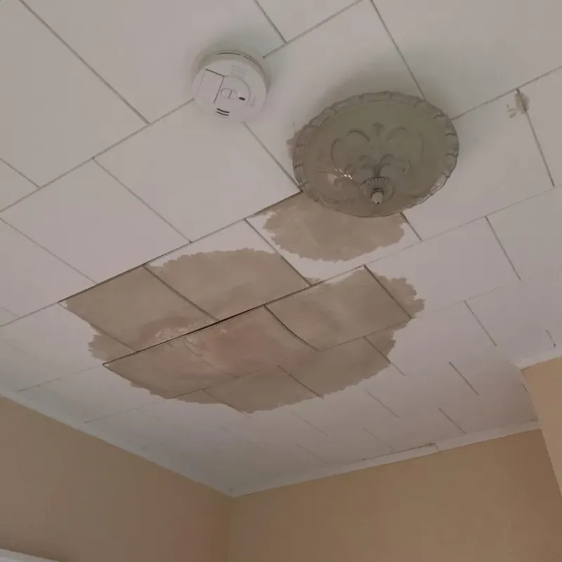 Ceiling Water Damage Repair in Vergennes, VT