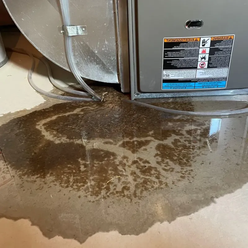 Pipe Burst and Leak Restoration in Vergennes, VT