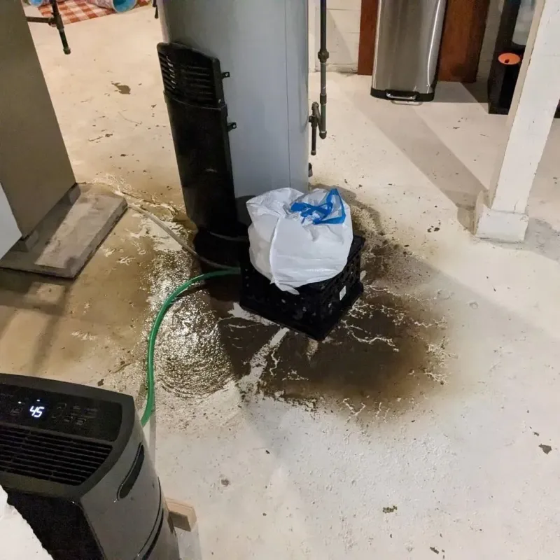 Sewage Backup Cleanup Service in Vergennes, VT